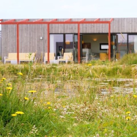 LODGE 6 Personen - Lodge Farmland Familie 4+2