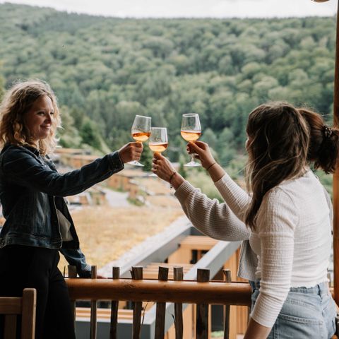 AUßERGEWÖHNLICHE UNTERKUNFT 4 Personen - Luxuriöses Baumhaus mit Rutsche