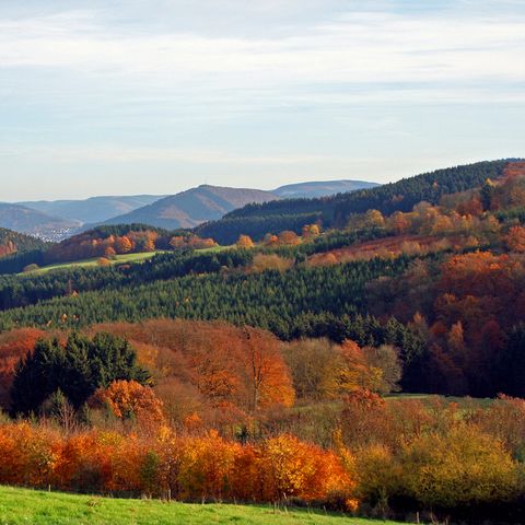 UplandParcs Sauerland - Camping Nordrhein-Westfalen - Image N°5