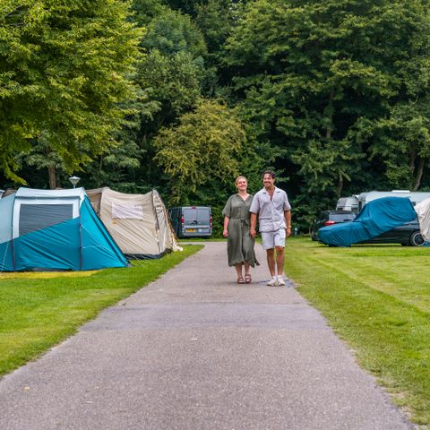 Stellplatz - Standardzelt