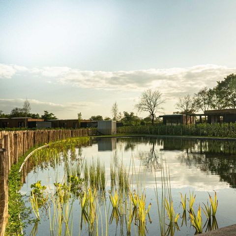 FERIENHAUS 4 Personen - Amalia 4 mit Sauna