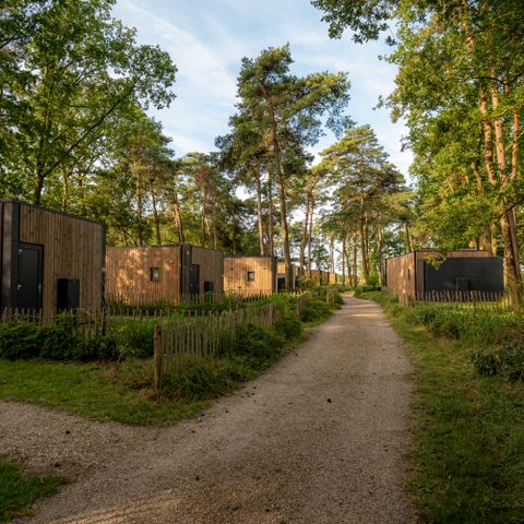 LODGE 2 Personen - Forest Lodge Royal mit Sauna