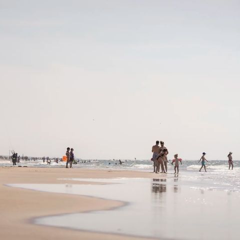 Landal Zandvoort - Zandvoort - Image N°4