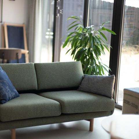 Lodge 4 personen - Königlich Amsterdam