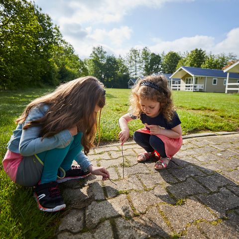 Chalet 4 Personen - Wohnung