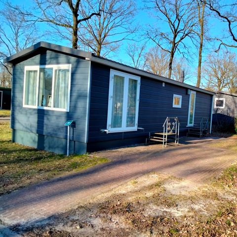 Chalet 4 Personen - Drenthe