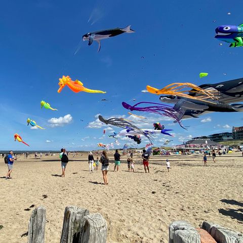 LODGE 4 Personen - Düne de Luxe