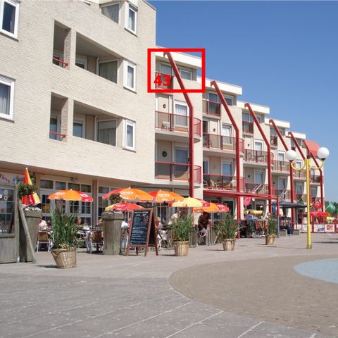 Apartement 4 Personen - Zuiderzee State Deluxe Haustierfreundlich