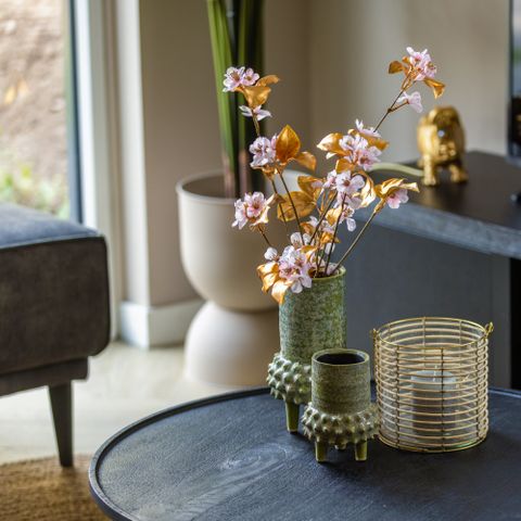 FERIENHAUS 6 Personen - Ecovilla Boszicht Komfort