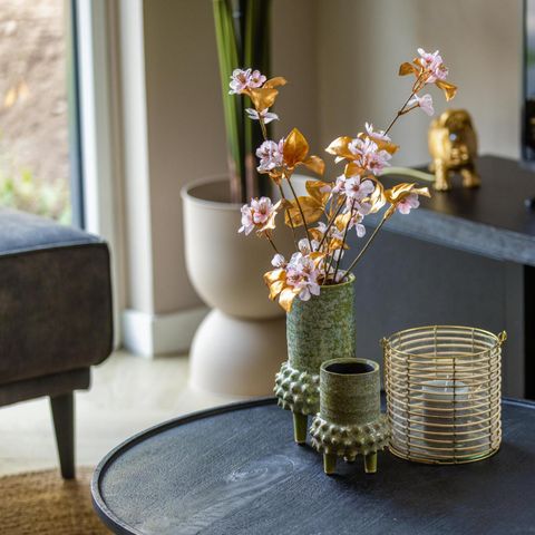 FERIENHAUS 6 Personen - Ecovilla Waterzicht Komfort