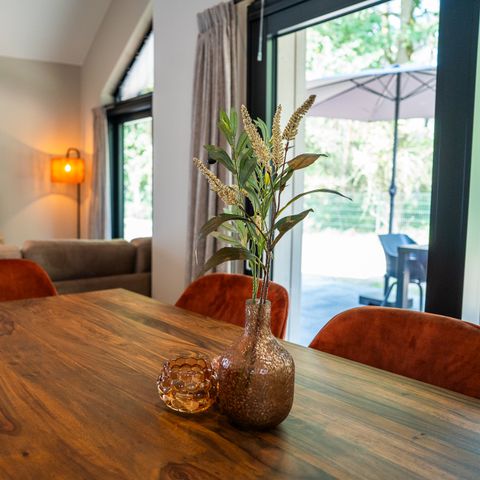 FERIENHAUS 6 Personen - Ecovilla Waterzicht Luxe