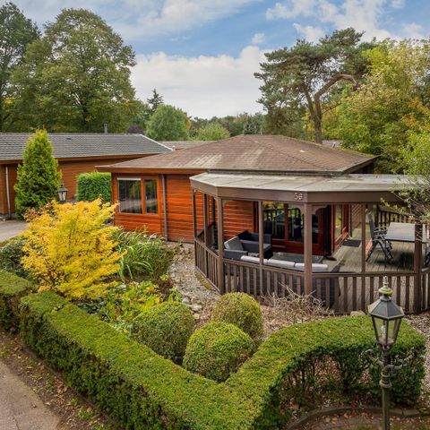 LODGE 4 Personen - Waldhaus