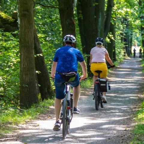 Urban Gardens Gent - Camping Ostflandern - Image N°3