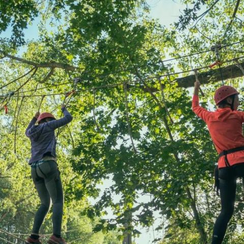 Urban Gardens Gent - Camping Ostflandern - Image N°4