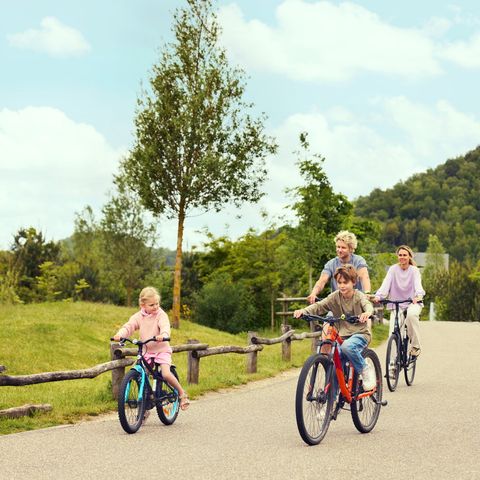 Terhills Resort by Center Parcs - Belgisches Limburg - Image N°5