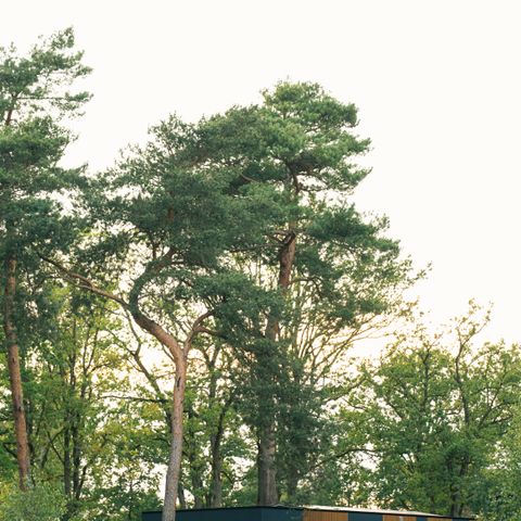 Lodge 2 personen - Wasserlodge mit Whirlpool und Sauna