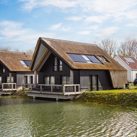 Bungalow 6 Personen - Durchlass Schwarzschwanzschnepfe Wasser