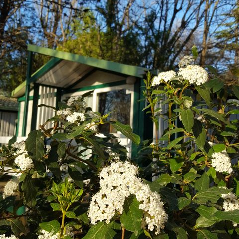 Chalet 5 Personen - Eco 2 Schlafzimmer