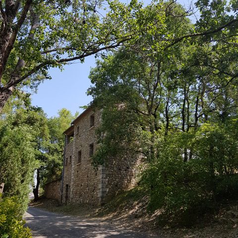 LANDHAUS 4 Personen - Der Wiedehopf