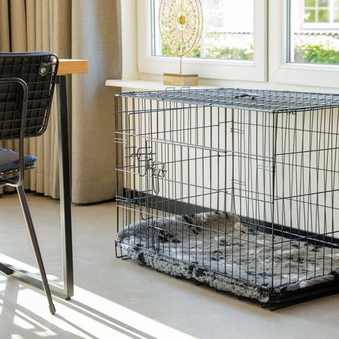 Bungalow 6 Personen - Hundekomfort