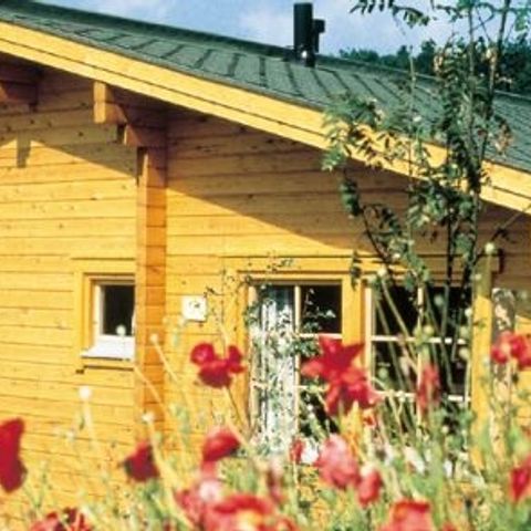 Werrapark Resort Ferienhausanlage am Sommerberg - Camping Thüringen - Image N°4