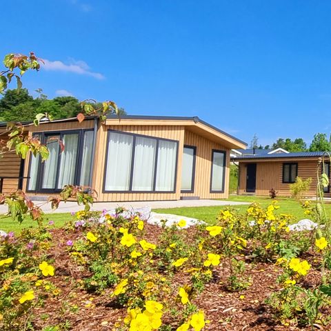 Camping & Ferienpark Brilon - Camping Nordrhein-Westfalen - Image N°4