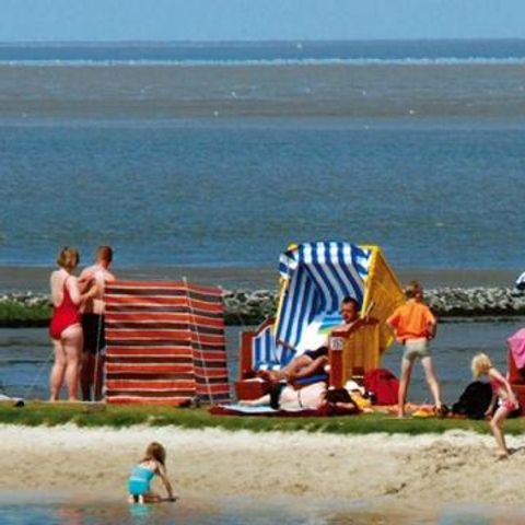 Ferienpark Am Meer Burhave - Camping Niedersachsen - Image N°6