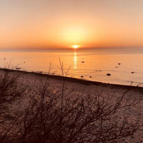 FYNNUS Feriendorf Am Bakenberg - Camping Mecklenburg-Vorpommern - Image N°4