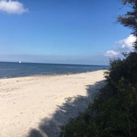FYNNUS Feriendorf Am Bakenberg - Camping Mecklenburg-Vorpommern - Image N°2