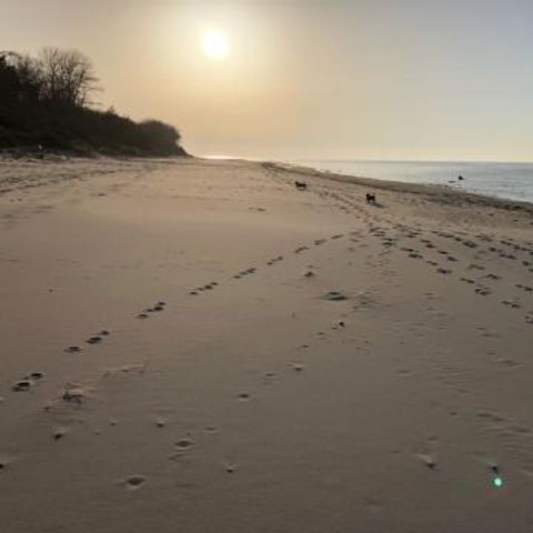 FYNNUS Feriendorf Am Bakenberg - Camping Mecklenburg-Vorpommern - Image N°5