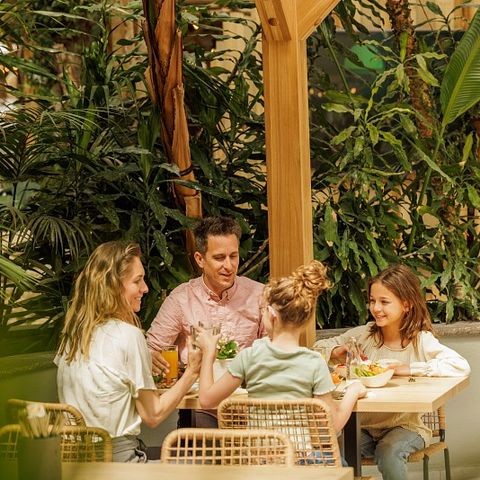 Center Parcs Park Eifel - Rheinland-Pfalz - Image N°3