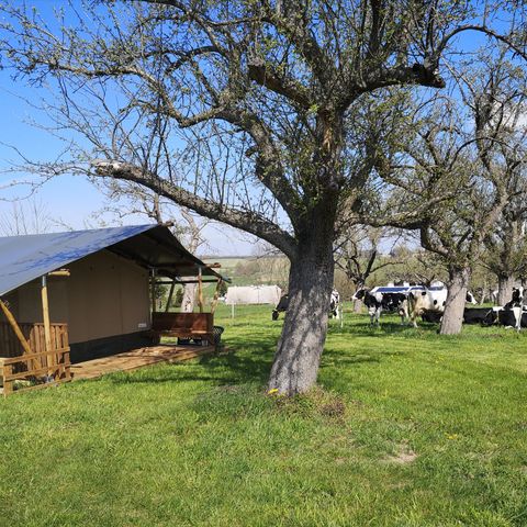 SafariZelt 4 Personen - Safari-Zelt