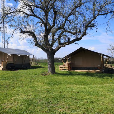 Safarizelt 4 Personen