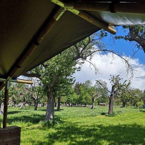 Safarizelt 4 Personen