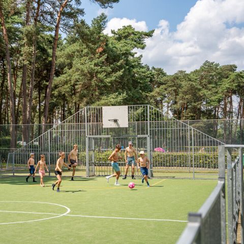 Vodatent Familiepark Goolderheide - Nordrhein-Westfalen - Image N°2