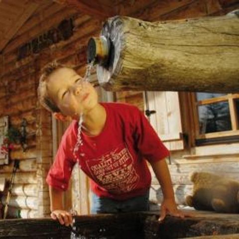 Gustocamp Camping Bella Austria - Camping Steiermark - Image N°5