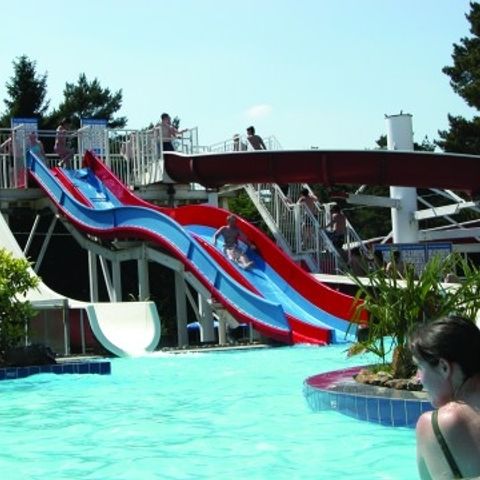 Vakantiecentrum De Lage Kempen - Camping Belgisches Limburg - Image N°3