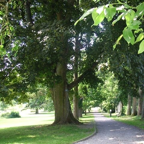 Gîte d'Etape de VillersSteGertrude - Camping Belgisches Luxemburg - Image N°5