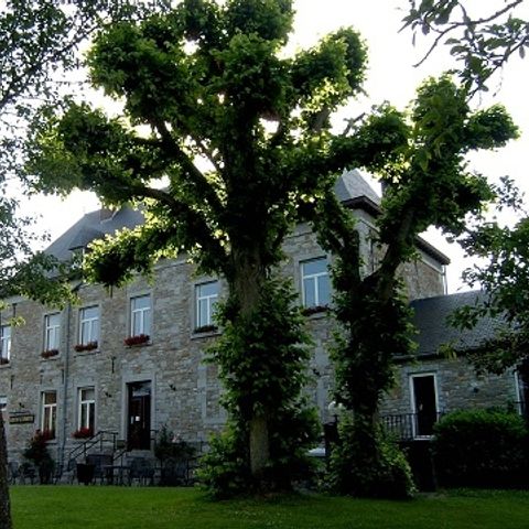 Gîte d'Etape de VillersSteGertrude - Camping Belgisches Luxemburg - Image N°3