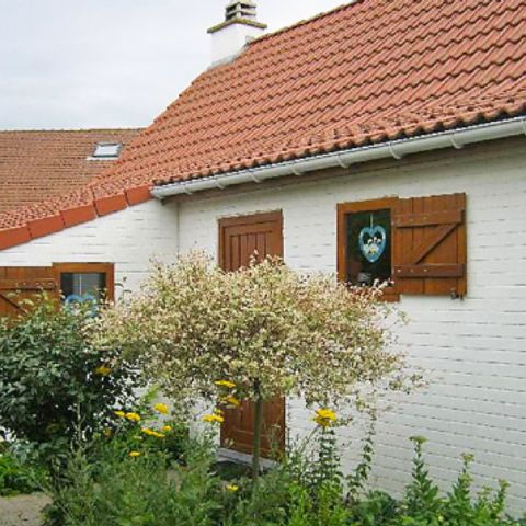 New Village Park - Camping Westflandern - Image N°2