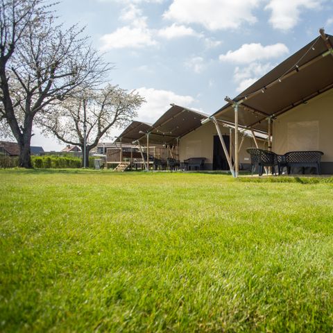 Safarizelt 6 Personen - Premium Maaszicht