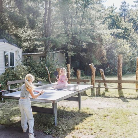Vodatent Camping Siësta - Antwerpen - Image N°3