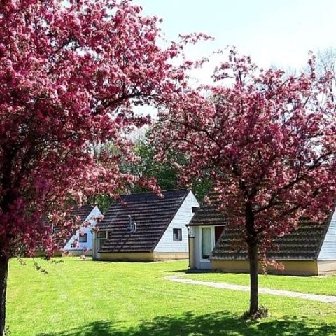 Bungalow 6 Personen - Alpha