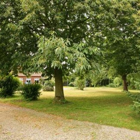 Vakantiewoningen De Zavelberg - Camping Eijsden-Margraten - Image N°4
