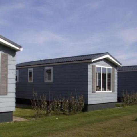 Mobilheim 4 Personen - Oahu