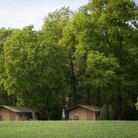 SafariZelt 5 Personen - Luxus