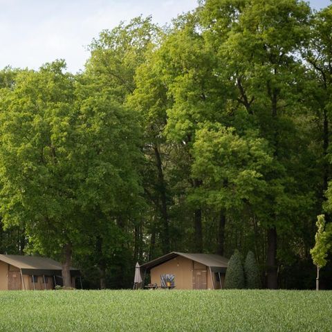 Safarizelt 5 Personen - Luxus