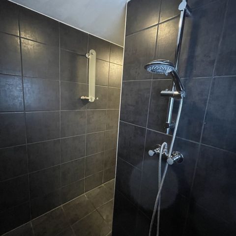 Mobilheim 5 Personen - Mobilheim/Chalet IJsselheide 71