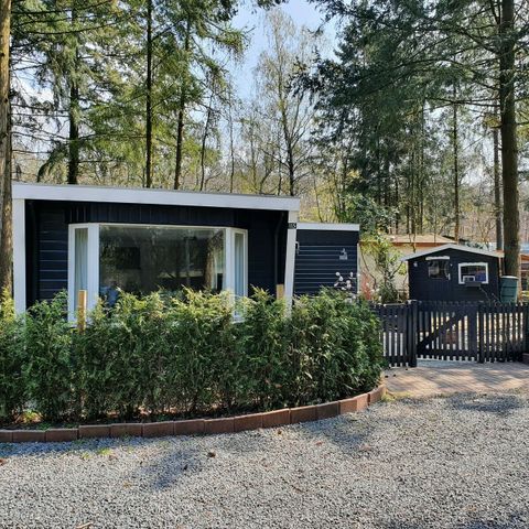 Mobilheim 4 Personen - Mobilheim/Chalet IJsselheide 115
