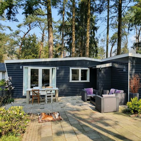 Mobilheim 4 Personen - Mobilheim/Chalet IJsselheide 115